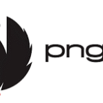 PNG Air